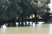 271-Delta del Danubio,7 agosto 2011